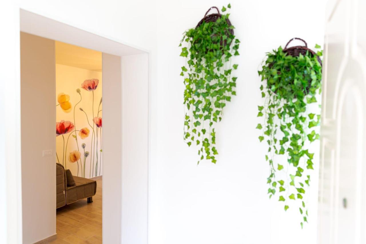Sea Garden Apartments 아셰아 외부 사진